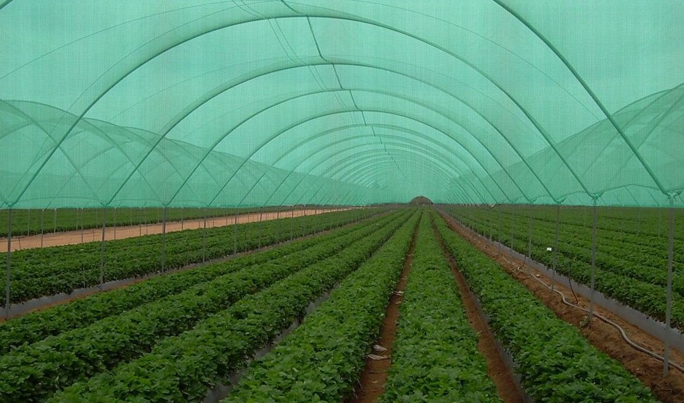 Agro Shade Net