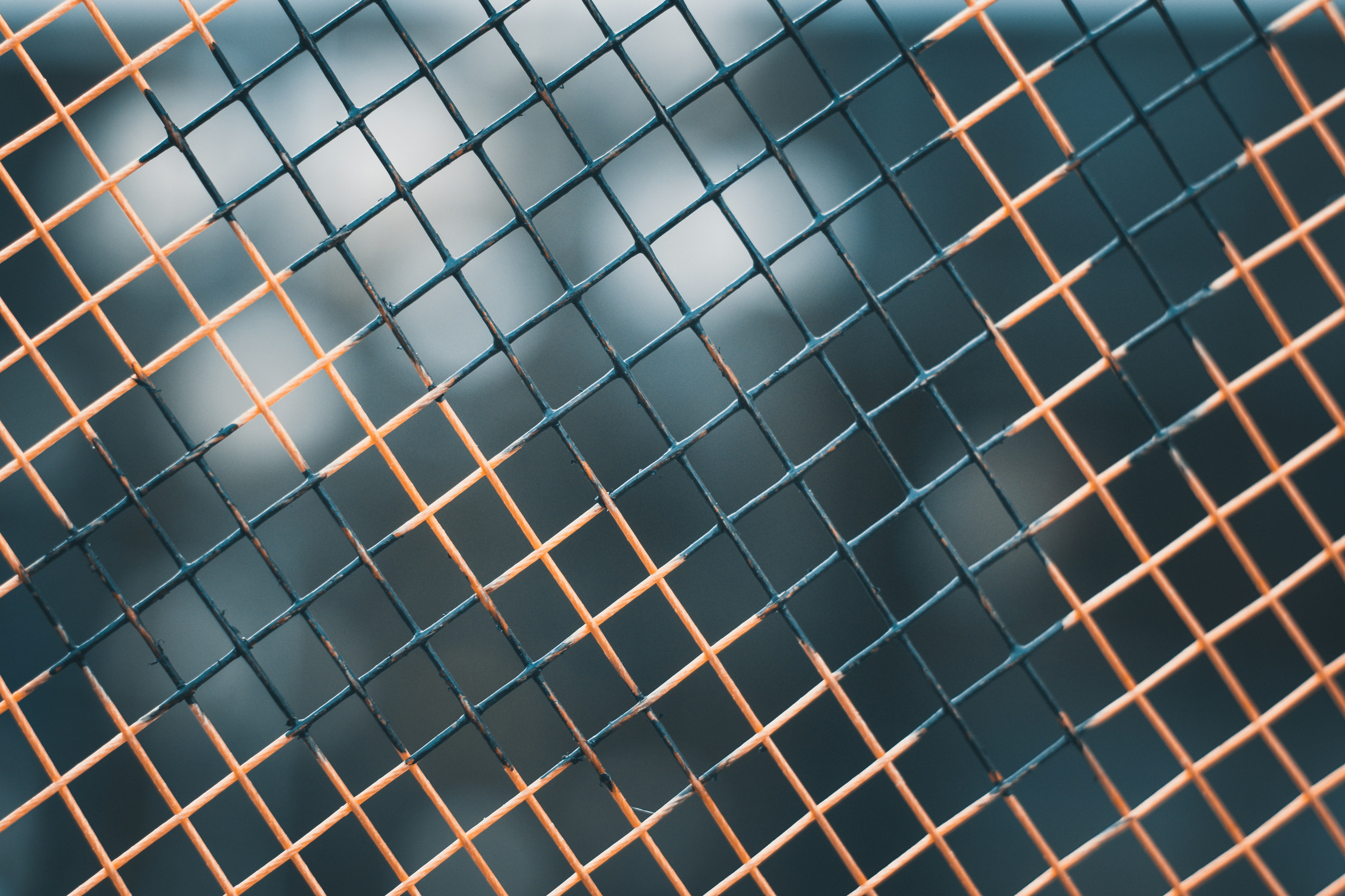 Galvanized welded wire mesh for fencing in Kolhapur