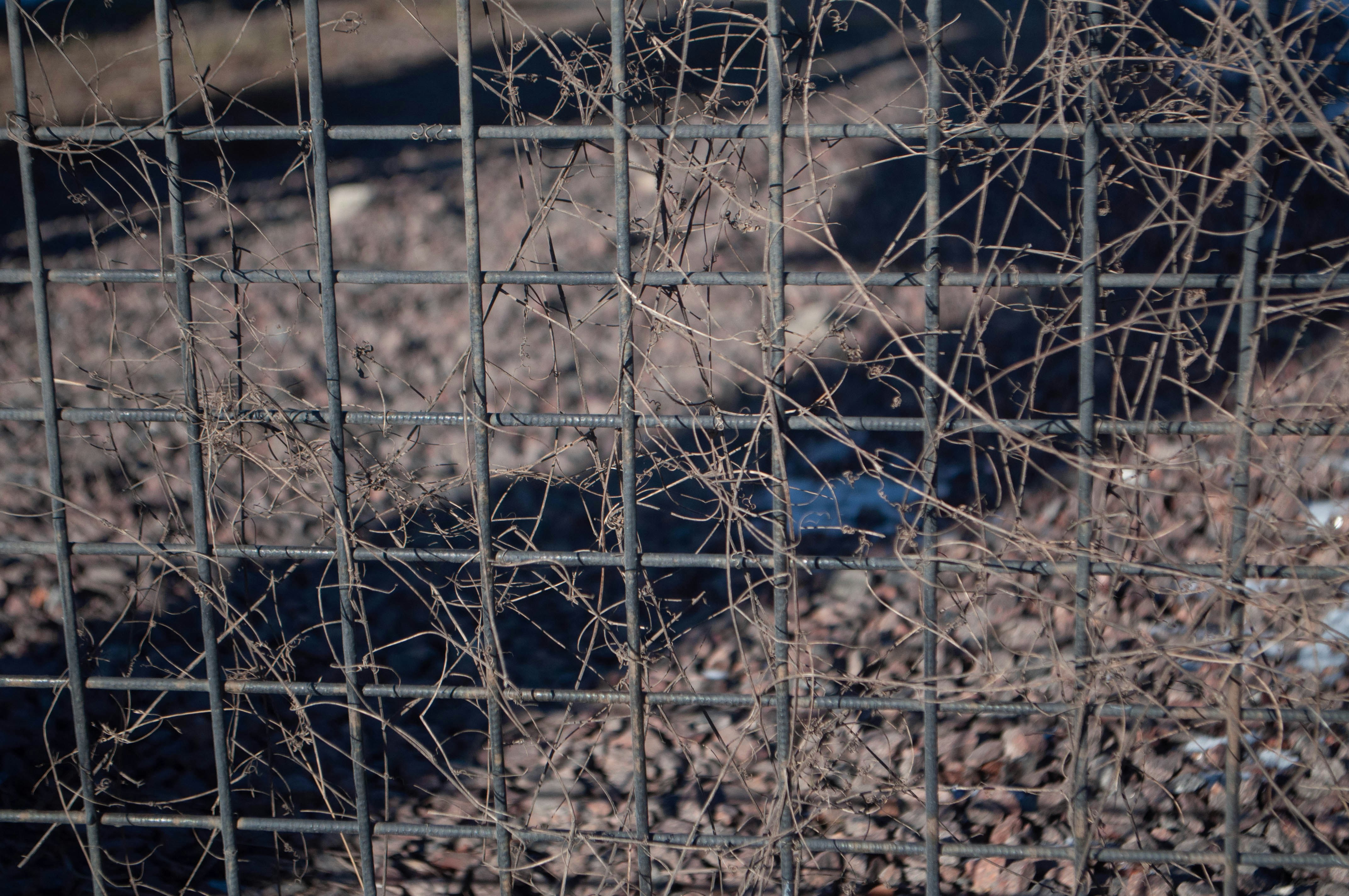 Welded Wire Mesh Manufacturers in Satara